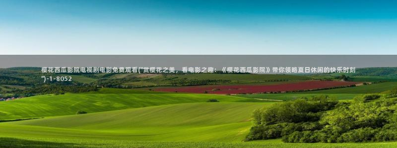 西瓜影院老九门