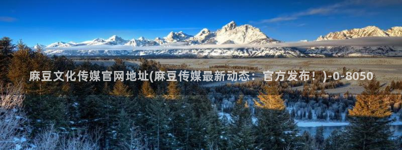 麻豆i传媒官网：麻豆文化传媒官网地址(麻豆传媒最新动态：官方发布！)