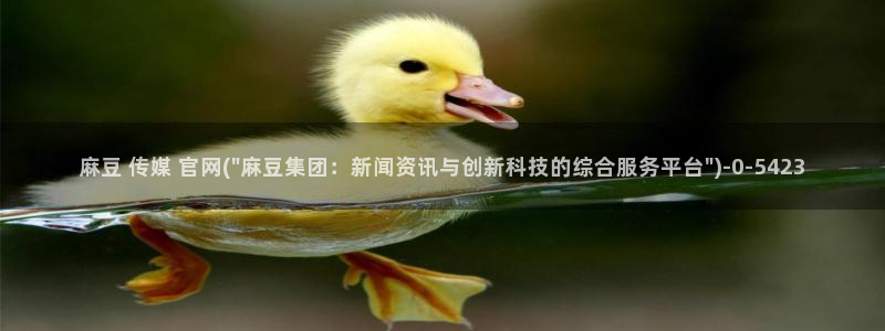 麻豆传媒官网www：麻豆 传媒 官网(\
