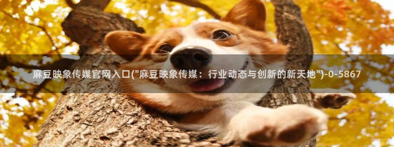 麻豆传媒映视官网：麻豆映象传媒官网入口(\