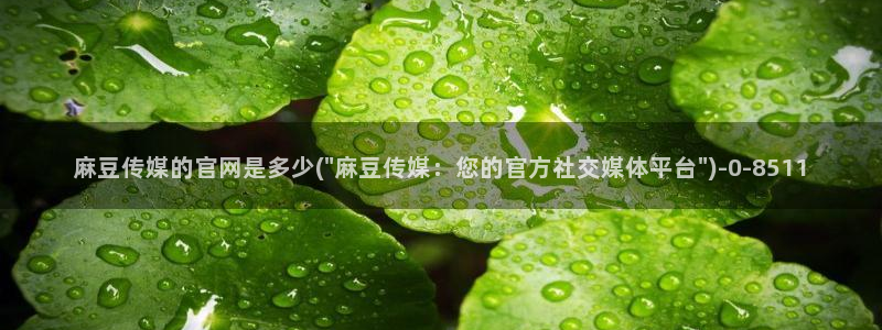 麻豆 传媒官网：麻豆传媒的官网是多少(\