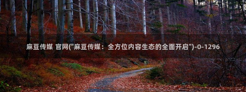 麻豆传媒官网2997577Z空间：麻豆传媒 官网(\