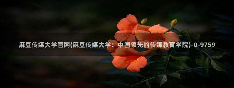 麻豆传媒官网app在线：麻豆传媒大学官网(麻豆传媒大学：中国领先的传媒教育学院)