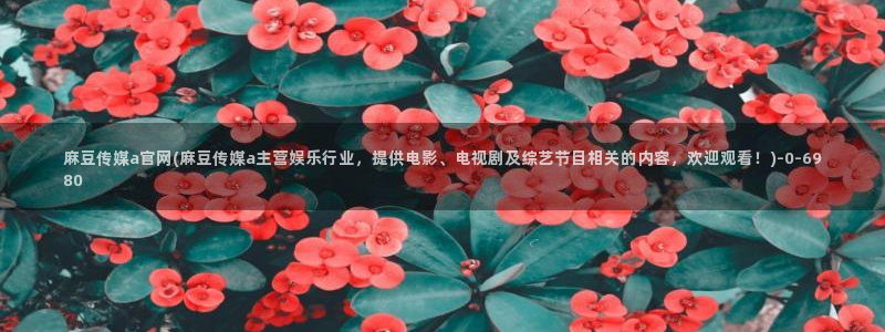 91麻豆传媒官网是：麻豆传媒a官网(麻豆传媒a主营娱乐行业，提供电影、电视剧及综艺节目相关的内容，欢迎观看！)