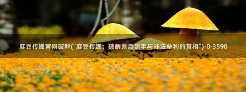 麻豆污污传媒官网：麻豆传媒官网破解(\