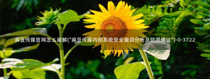 麻豆床传媒官网免费入口：麻豆传媒官网怎么破解(\