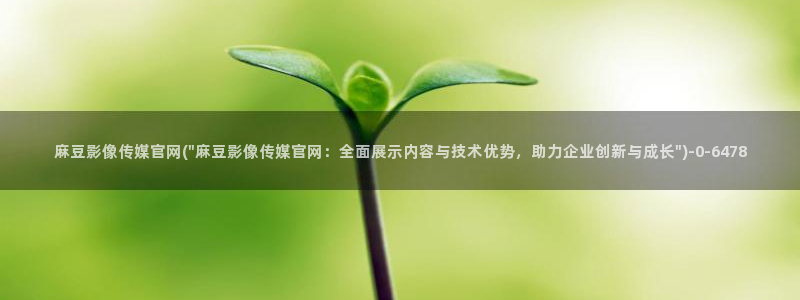 麻豆视传媒官网星辰：麻豆影像传媒官网(\
