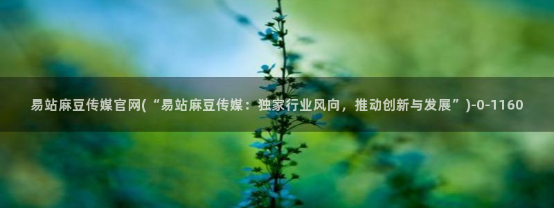 麻豆影视传媒app官网：易站麻豆传媒官网(“易站麻豆传媒：独家行业风向，推动创新与发展”)