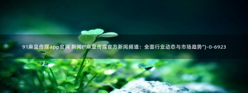 91麻豆传媒app官网：91麻豆传媒app官网 新闻(\