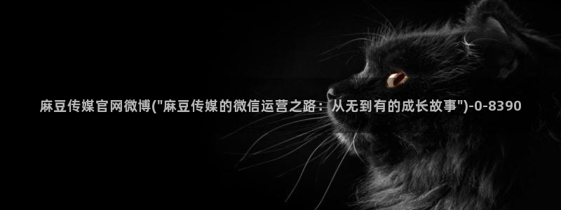 麻豆文化影视传媒官网：麻豆传媒官网微博(\