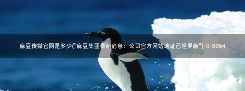 麻豆印像传媒官网：麻豆传媒官网是多少(\
