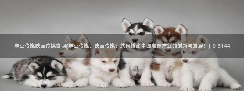 麻豆 传媒 官网：麻豆传媒映画传媒官网(麻豆传媒、映画传媒：共同推动中国电影产业的创新与发展！)