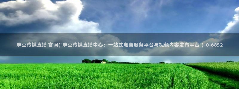 麻豆文化影视传媒官网：麻豆传媒直播 官网(\