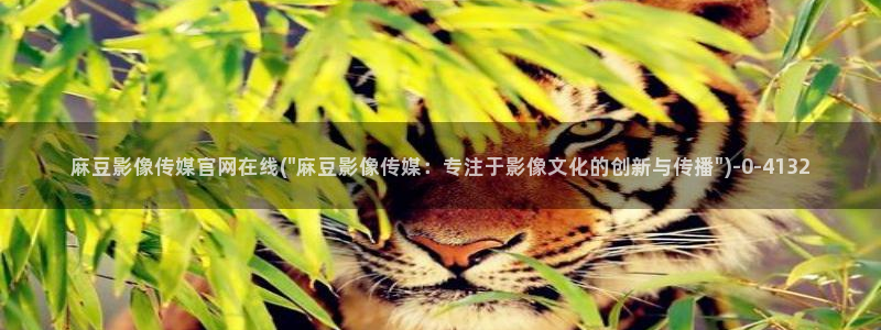 麻豆传媒台湾官网：麻豆影像传媒官网在线(\