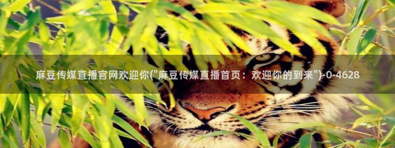 麻豆床传媒官网天美：麻豆传媒直播官网欢迎你(\