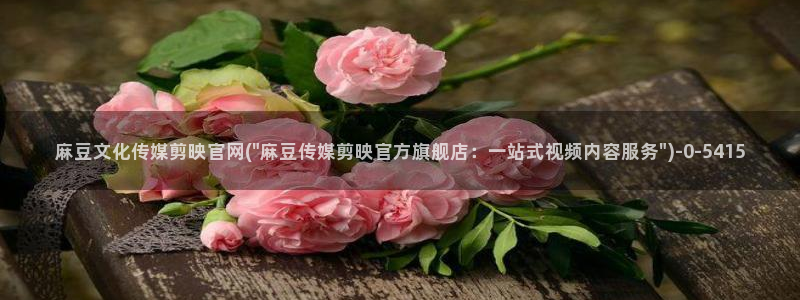 麻豆传媒直播官网在线