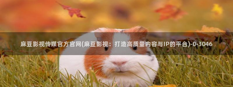 麻豆直播传媒官网：麻豆影视传媒官方官网(麻豆影视：打造高质量内容与IP的平台)