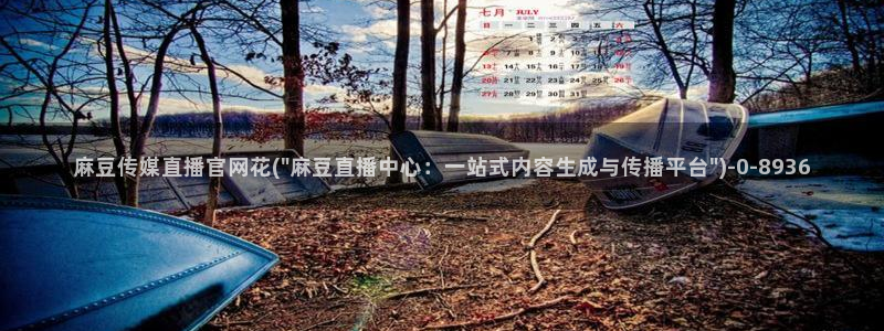 麻豆广播传媒官网：麻豆传媒直播官网花(\