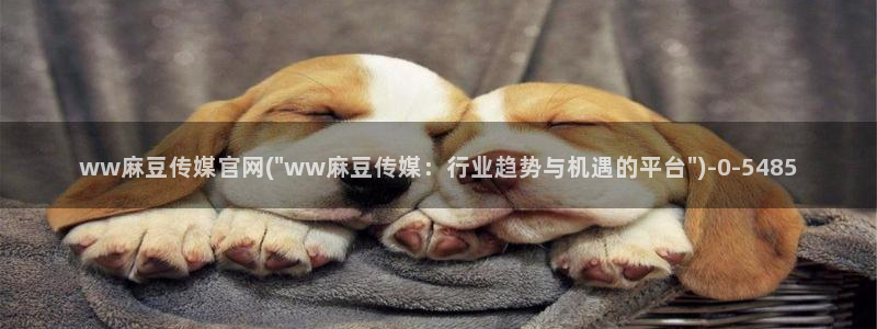 麻豆传媒官网app污：ww麻豆传媒官网(\