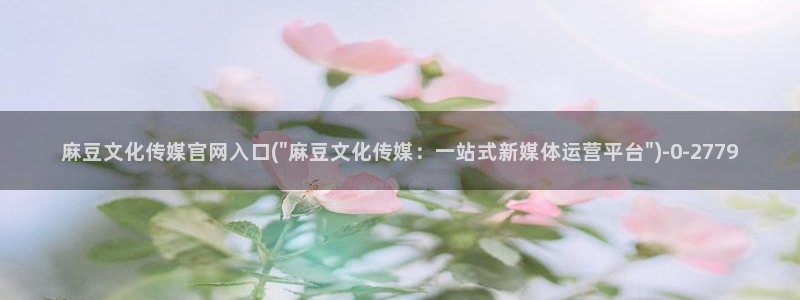 麻豆传媒网站官网：麻豆文化传媒官网入口(\
