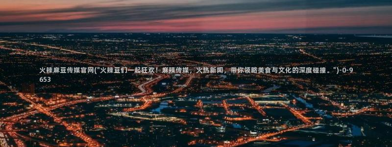 麻豆村传媒官网